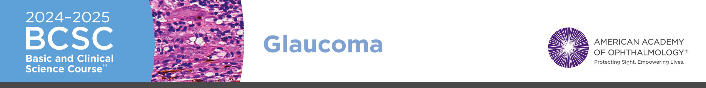 BCSC Glaucoma 2025 Logo